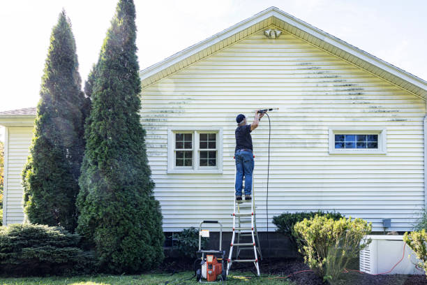 Best Local Pressure Washing Services  in Rossvle, IL